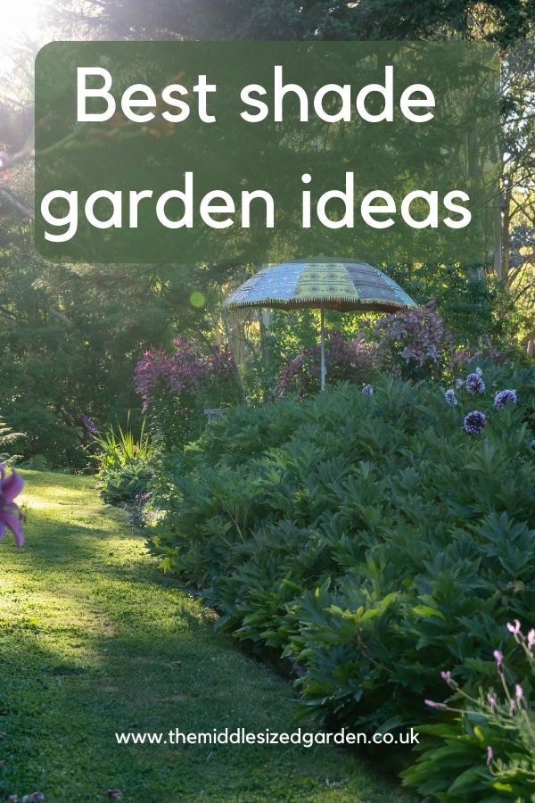 Shade gardening – how to choose perfect shady garden plants – The Middle-Sized Garden