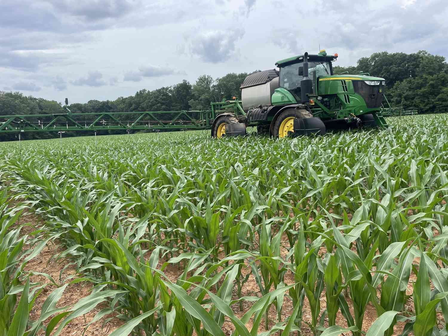 Corteva Unveils New Corn Herbicide