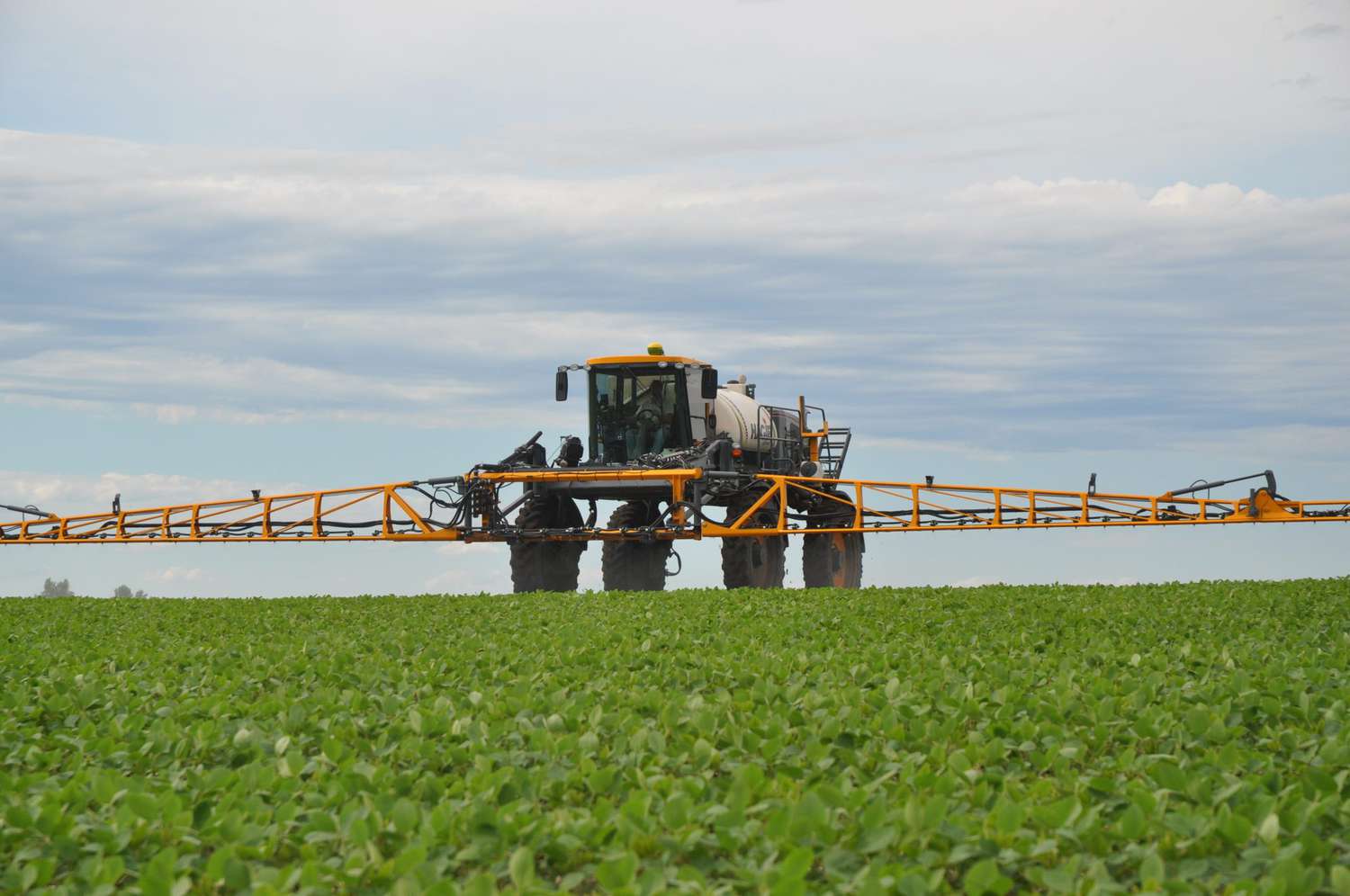 BASF Seeks EPA Approval for Dicamba Herbicide