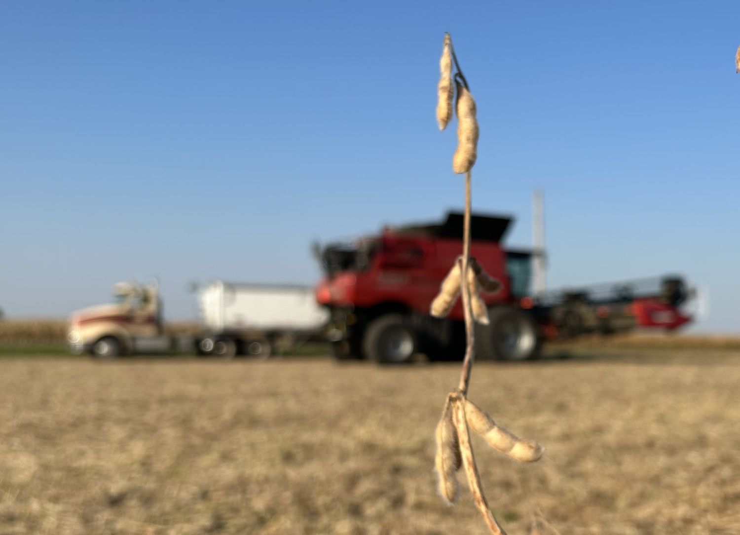 Stop Weeds in Their Tracks