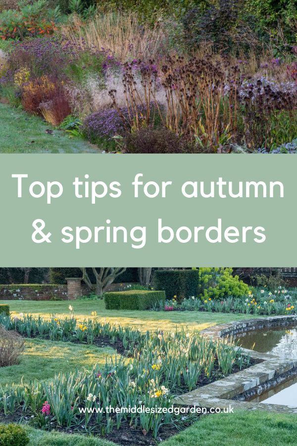 Brilliant border maintenance – what to do now for next summer’s success – The Middle-Sized Garden