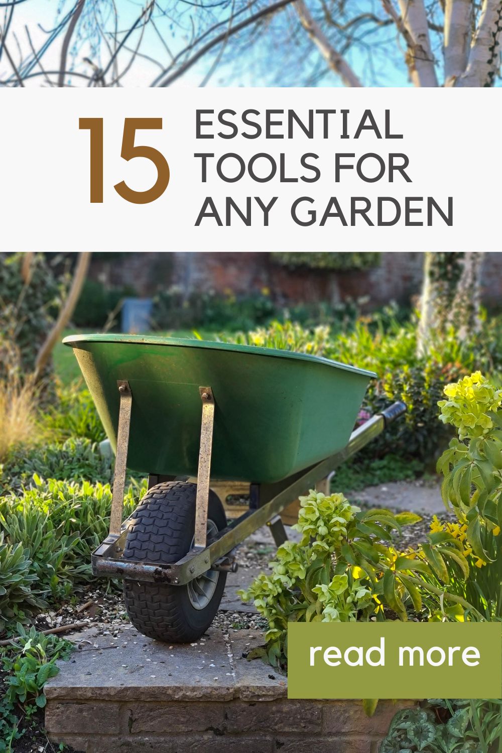 Which are the most useful garden tools? You’ll be surprised…. – The Middle-Sized Garden