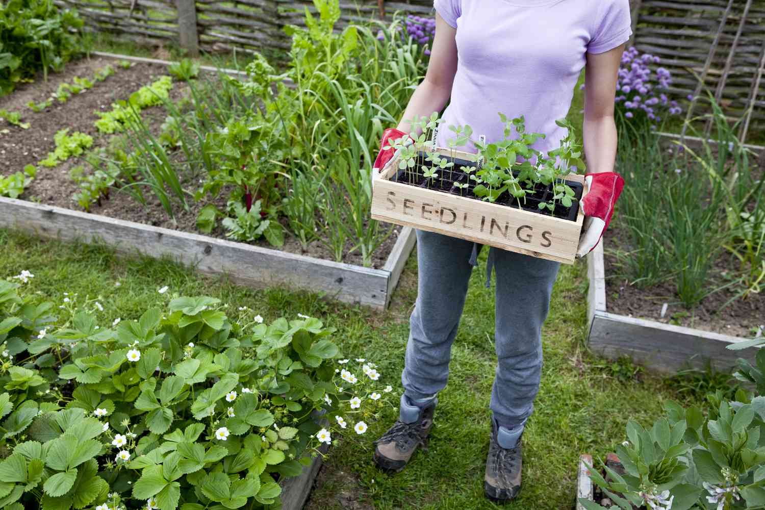 Do You Suffer From ‘Scope Creep’ in Your Garden?